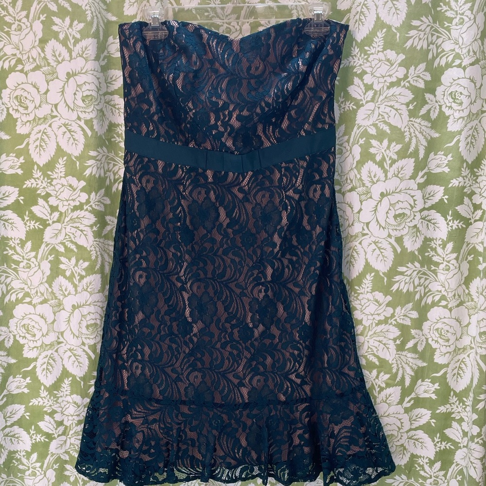 🏝️Big $8 Sale!🏝️The Limited Strapless Lace Dress